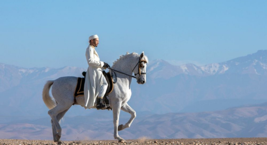 Balade Cheval Agafay Marrakech